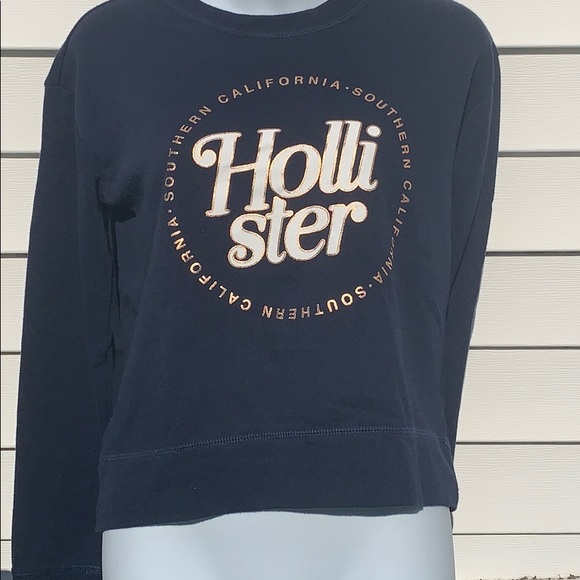 Hollister Sweaters - 🦃 Hollister Crewneck
